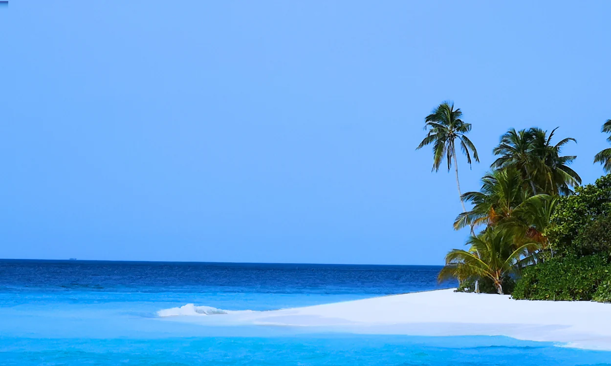 Palmenstrand mit weißem Sand, türkisblauem Wasser und klar blauem Himmel.